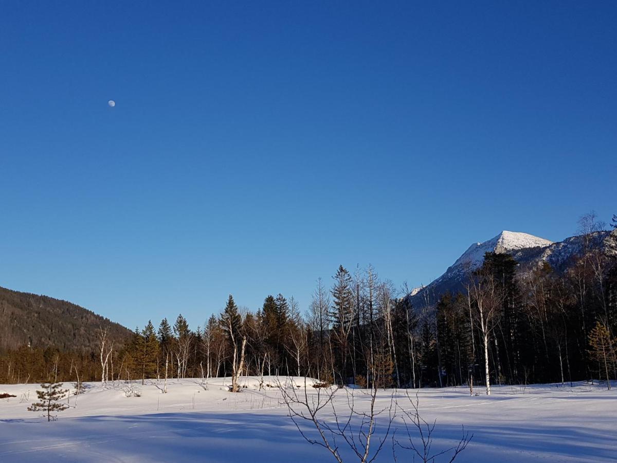Zirbenstueberl - Chiemgau Karte Appartement Inzell Buitenkant foto