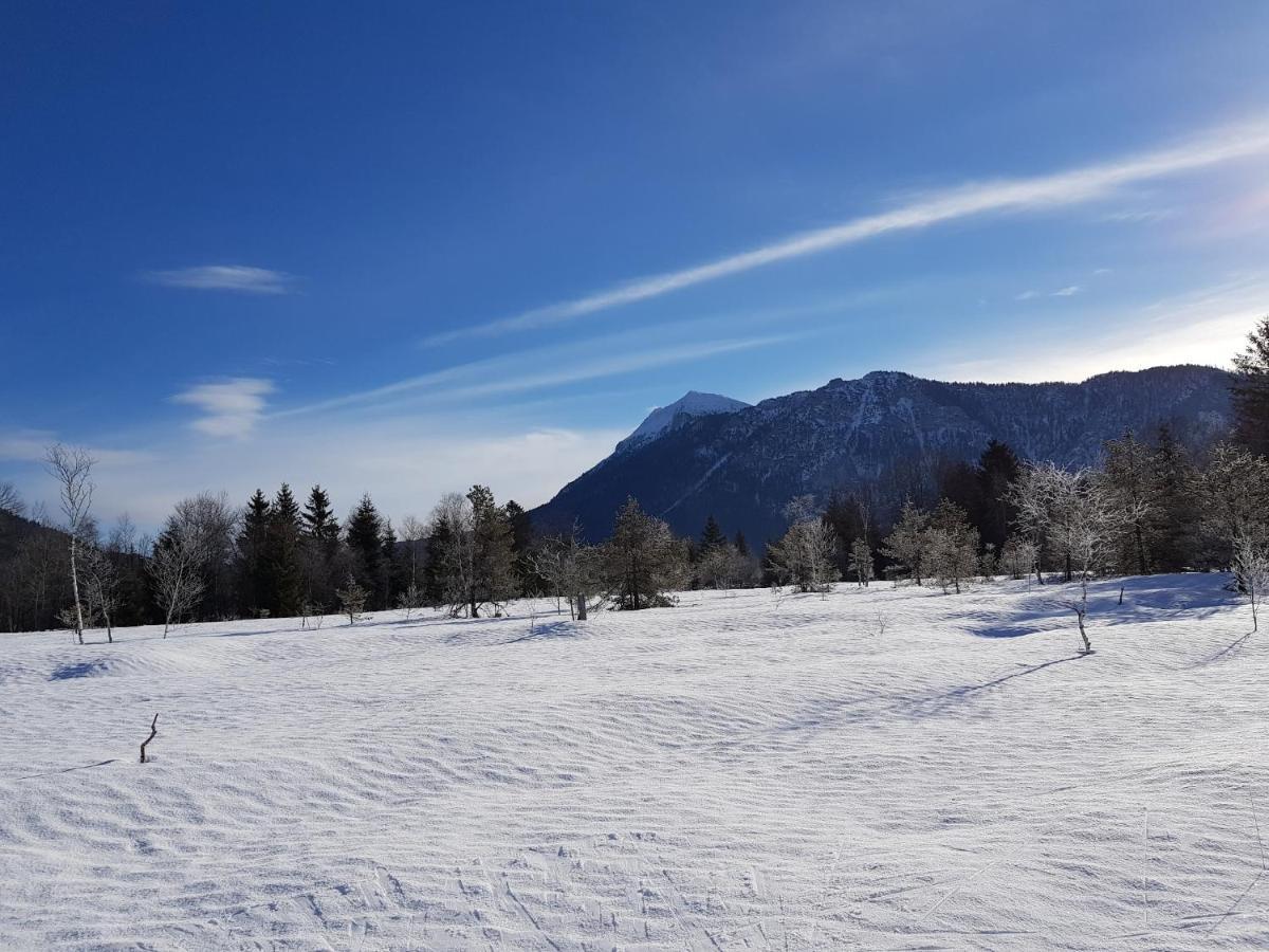 Zirbenstueberl - Chiemgau Karte Appartement Inzell Buitenkant foto