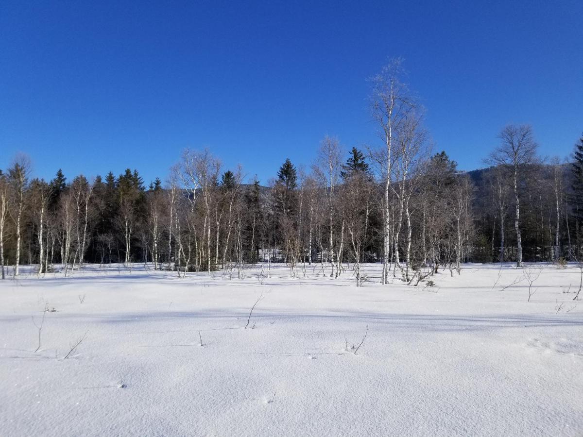 Zirbenstueberl - Chiemgau Karte Appartement Inzell Buitenkant foto